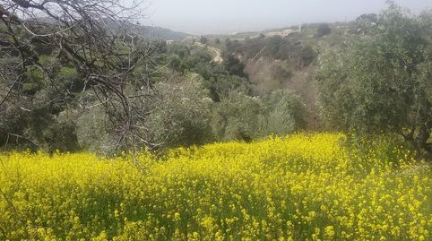 Foto 4 von Grundstücke zum Verkauf in La Paz, Granada Capital