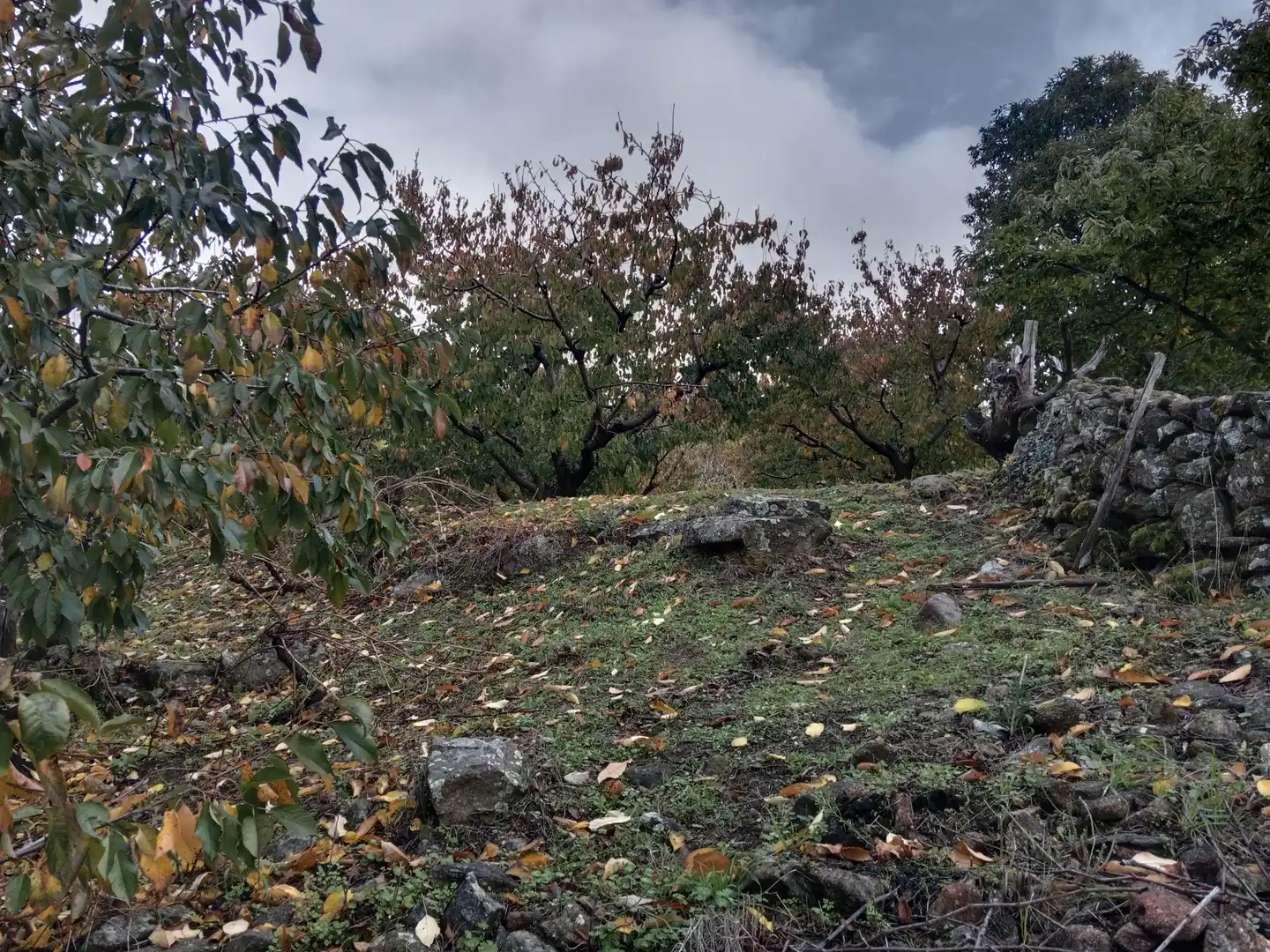 Terreni e lotti in vendita a Pasarón de la Vera, imagen 22
