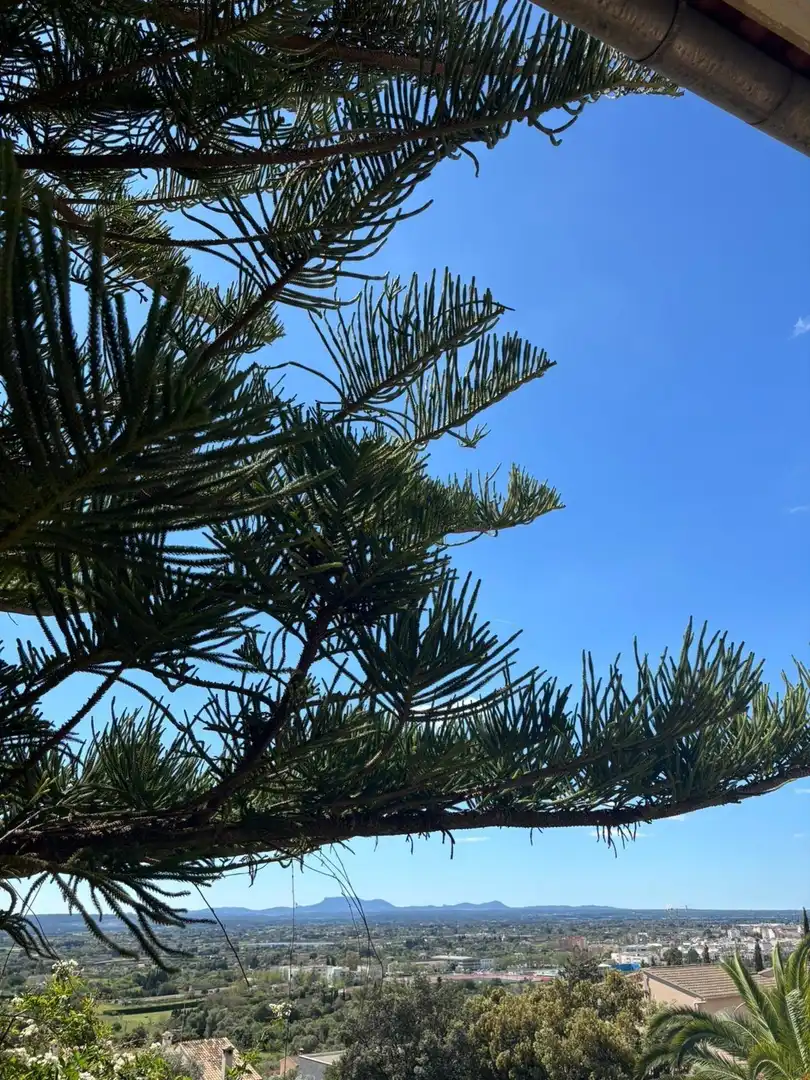 Chalet con terraza en venta en Son Amonda - Reis Catòlics, imagen 49