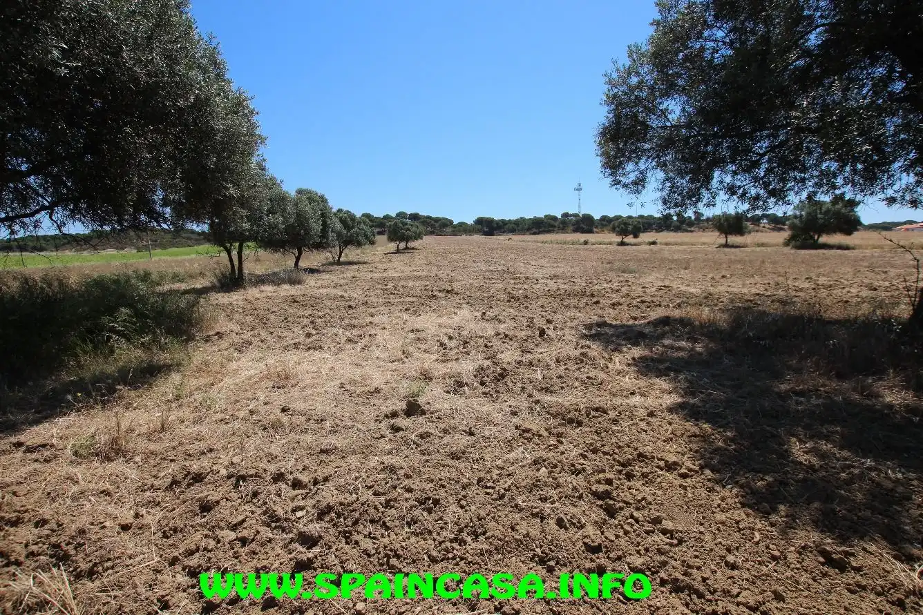 Terrenos y solares en venta en Núcleo urbano, imagen 10