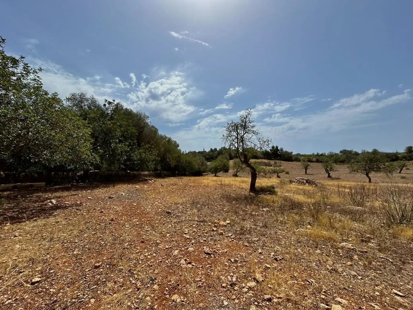 Terreny en venda en Santanyí