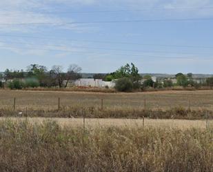 Industrial buildings for sale in Trigueros