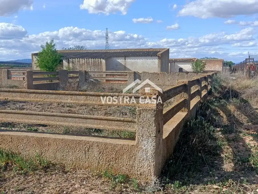 Terreny rústic en venda a PARAJE DE LA CERCA, imagen 16