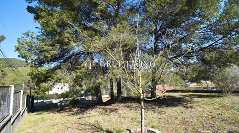 TERRENO PLANO A TRES CALLES EN MAS MESTRE