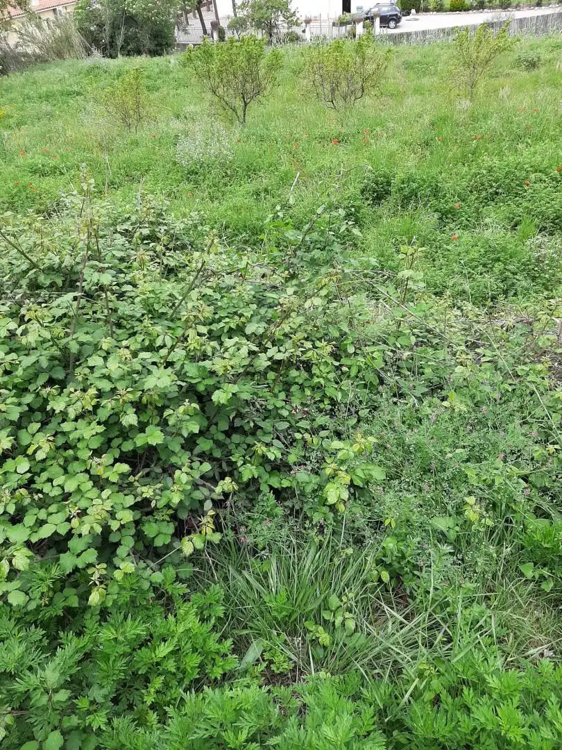 Terrenys i solars en venda a Sant Celoni, imagen 6
