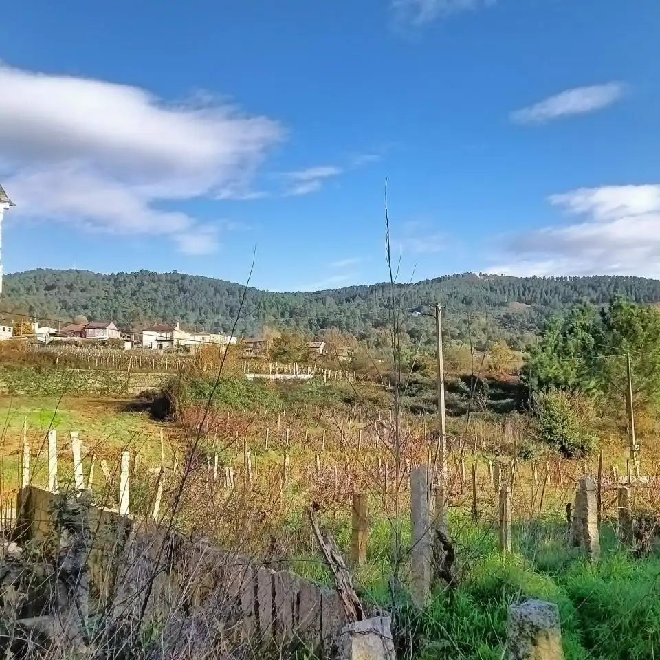 Maison à vendre à Cenlle, imagen 6