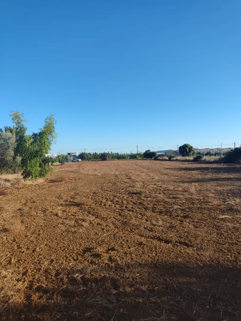 Land for sale in Conil de la Frontera