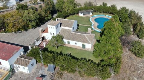 Photo 2 of Country homes for sale in Marchena, Sevilla