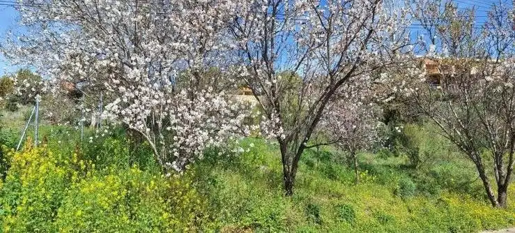 Terreni e lotti in vendita a Fresnedillas de la Oliva