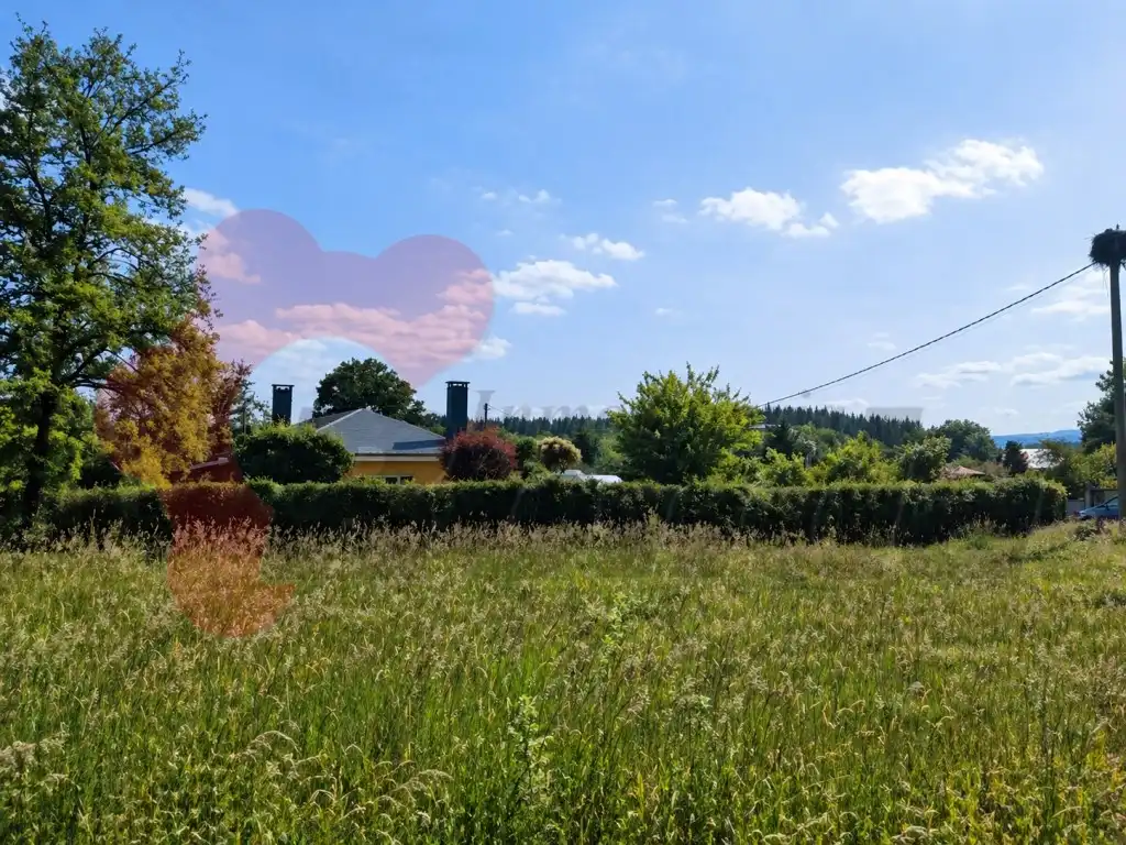 Residential for sale in O Corgo  