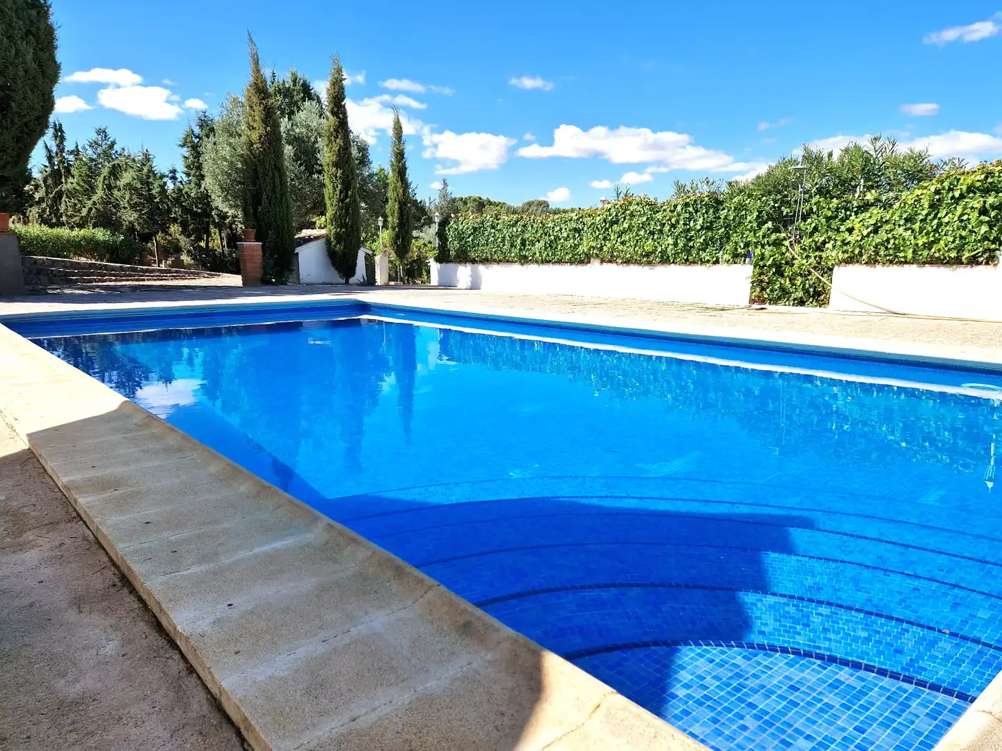 Piscina de Finca rústica en venta en Toledo con Aire acondicionado, Calefacción y Jardín privado