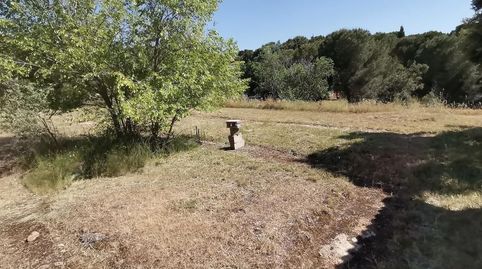 Parcela con casita de 26 metros cuadrados y baño, en Urbanización Peñarrubia de Uceda, immagine 5