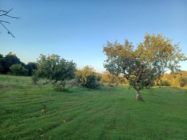 Terreno residencial en Venta en Portocolom en S'Horta - Cas Concos des Cavaller - Es Carritxó