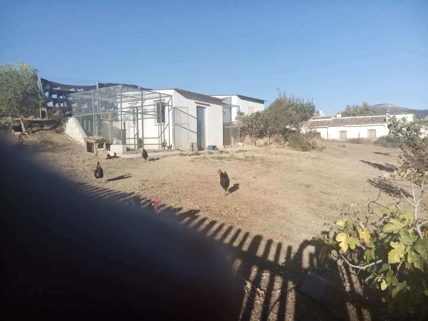 Casa o chalet en venta en Cueva de Menga