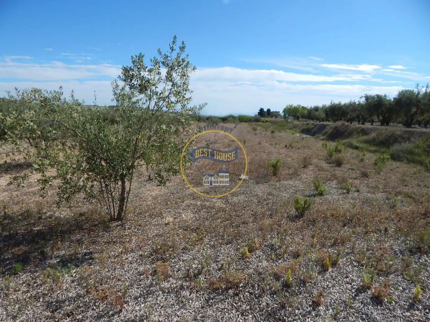 Terreny rústic en venda a Agullent, imagen 15