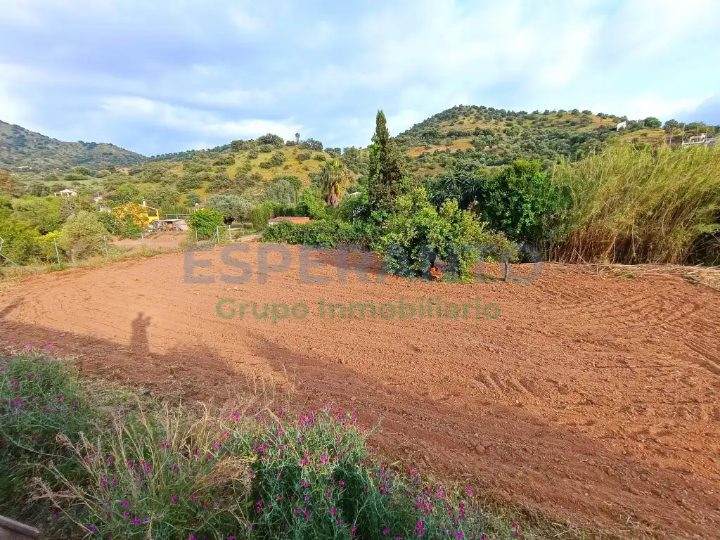 Terrenys i solars en venda a Partida Llano Comisario, imagen 4