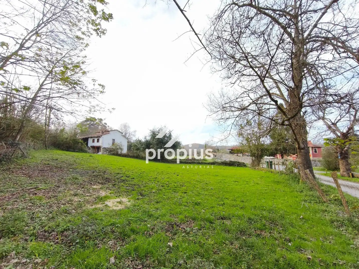 Terreno rustico in vendita a SAN ROQUE DEL ACEBAL, imagen 16