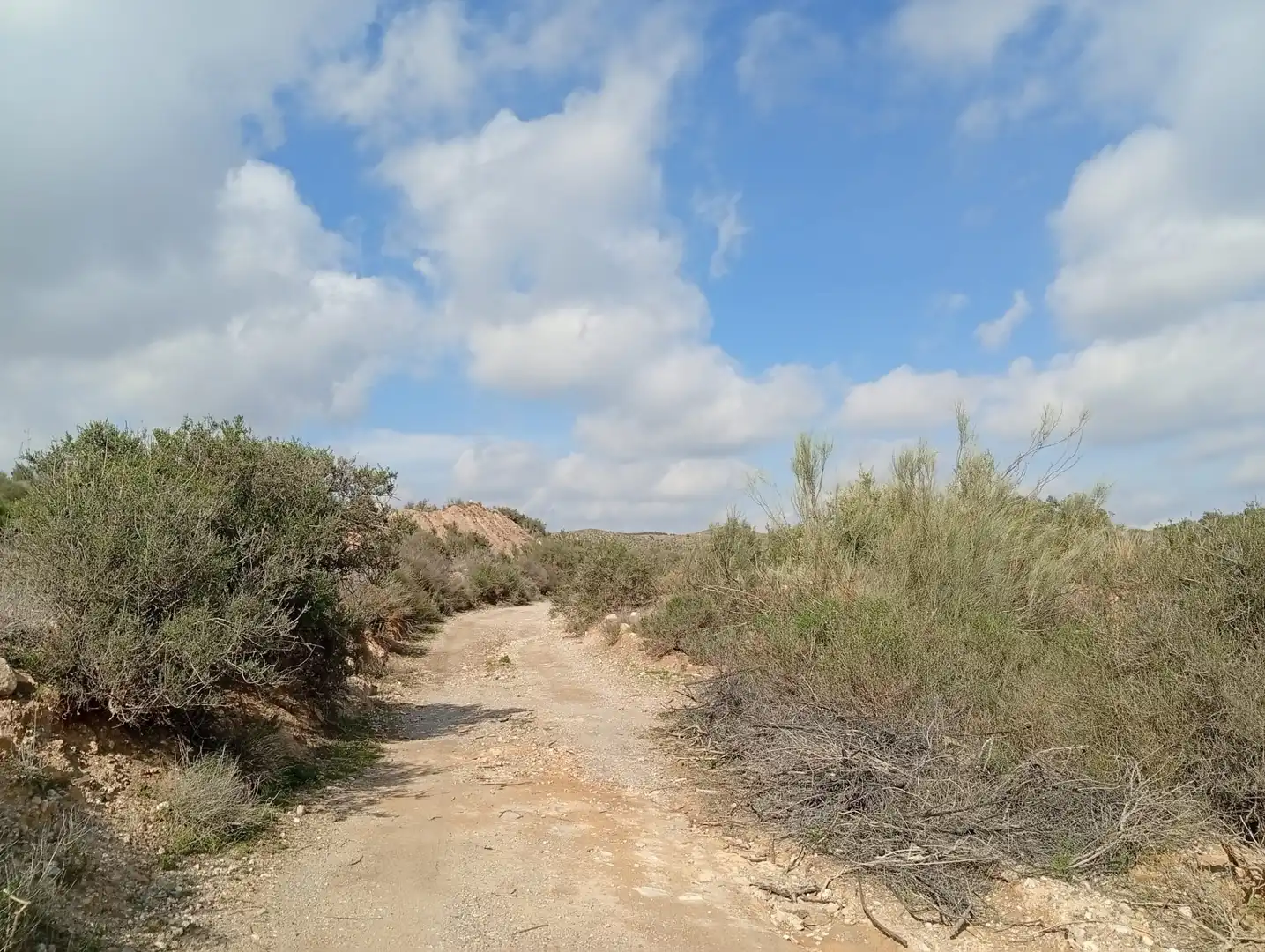 Terreny en venda a Rambla La Higuera, Albox