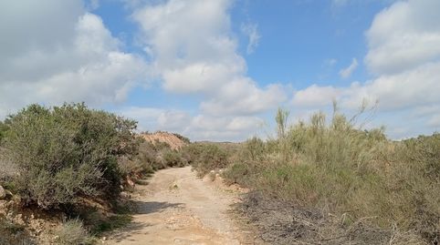 Foto 5 de Terreny en venda a Rambla la Higuera, Albox, Almería
