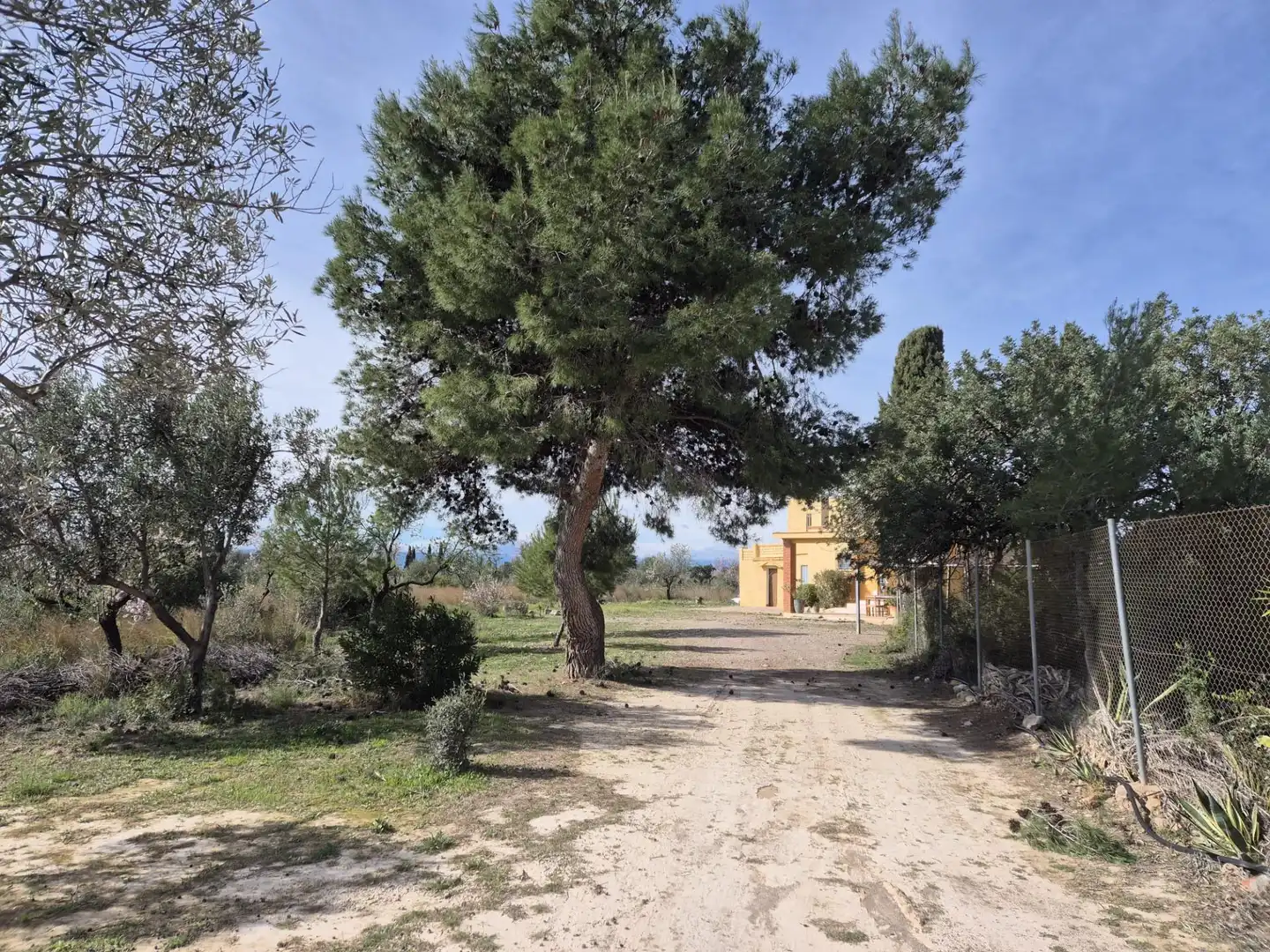 Houses for sale in Casco Antiguo