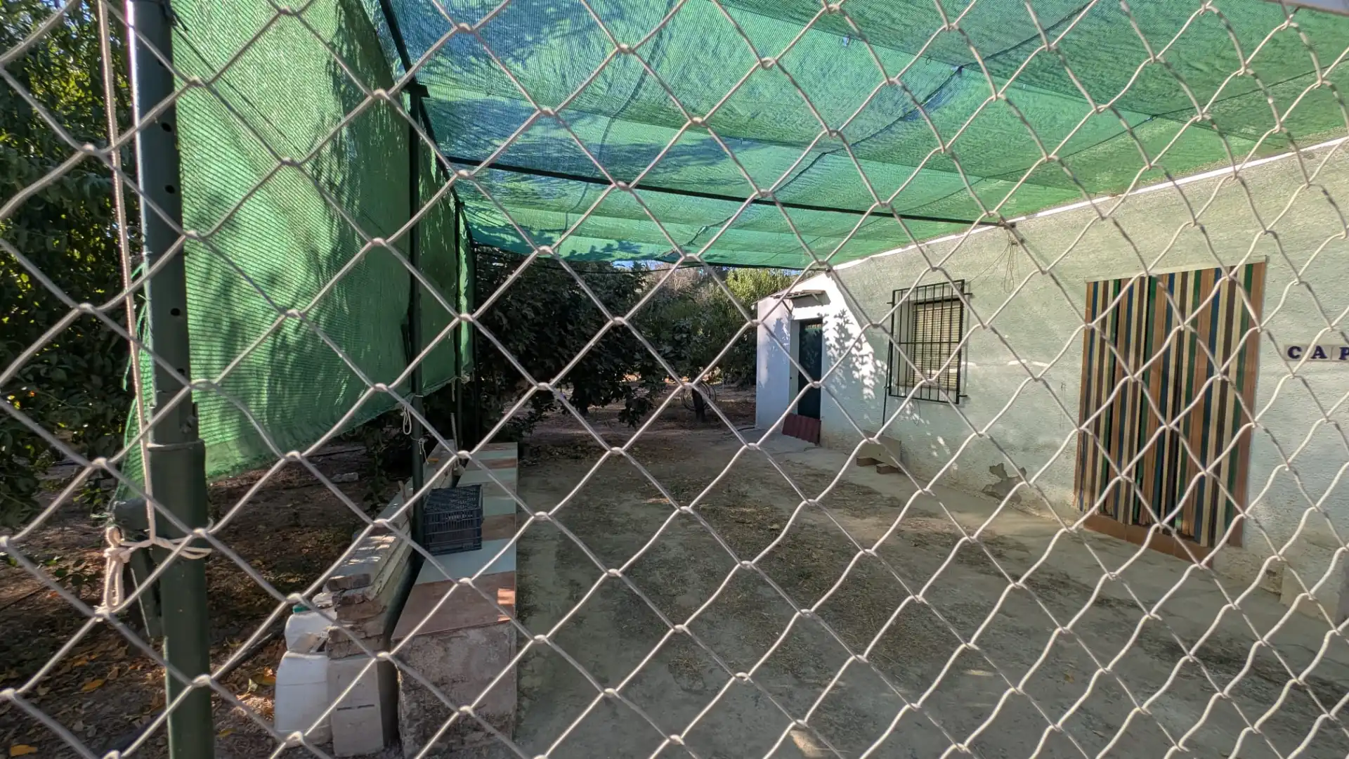 Rustikales Grundstück zum Verkauf in Alcaudete, imagen 14