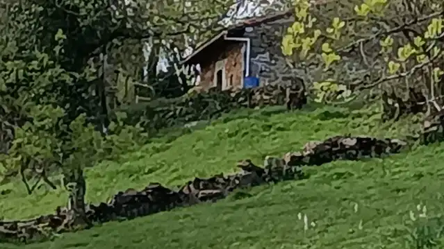 Terreno rustico in vendita a Proaza, imagen 58