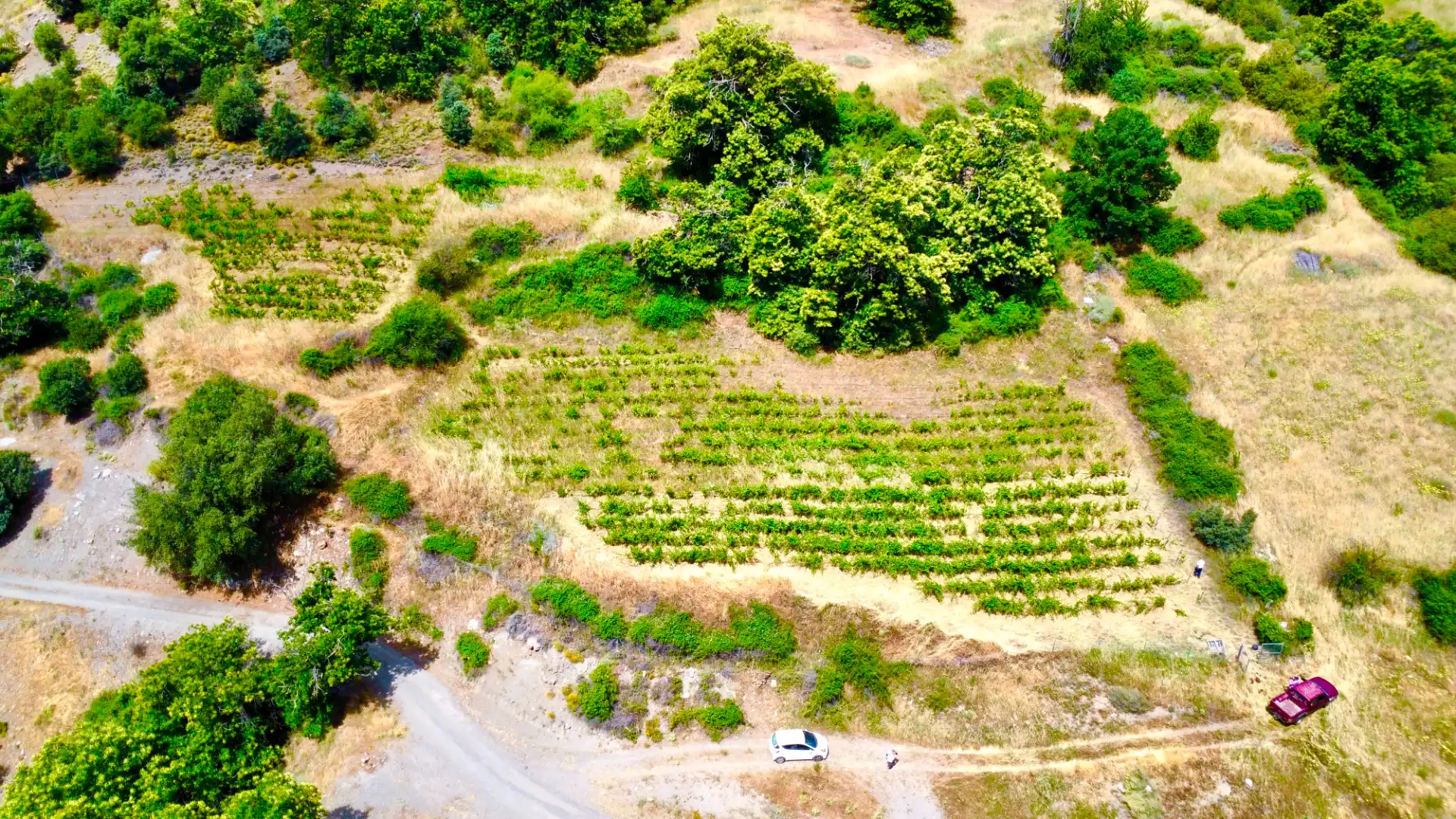 Terreni e lotti in vendita a Alpujarra de la Sierra, imagen 27