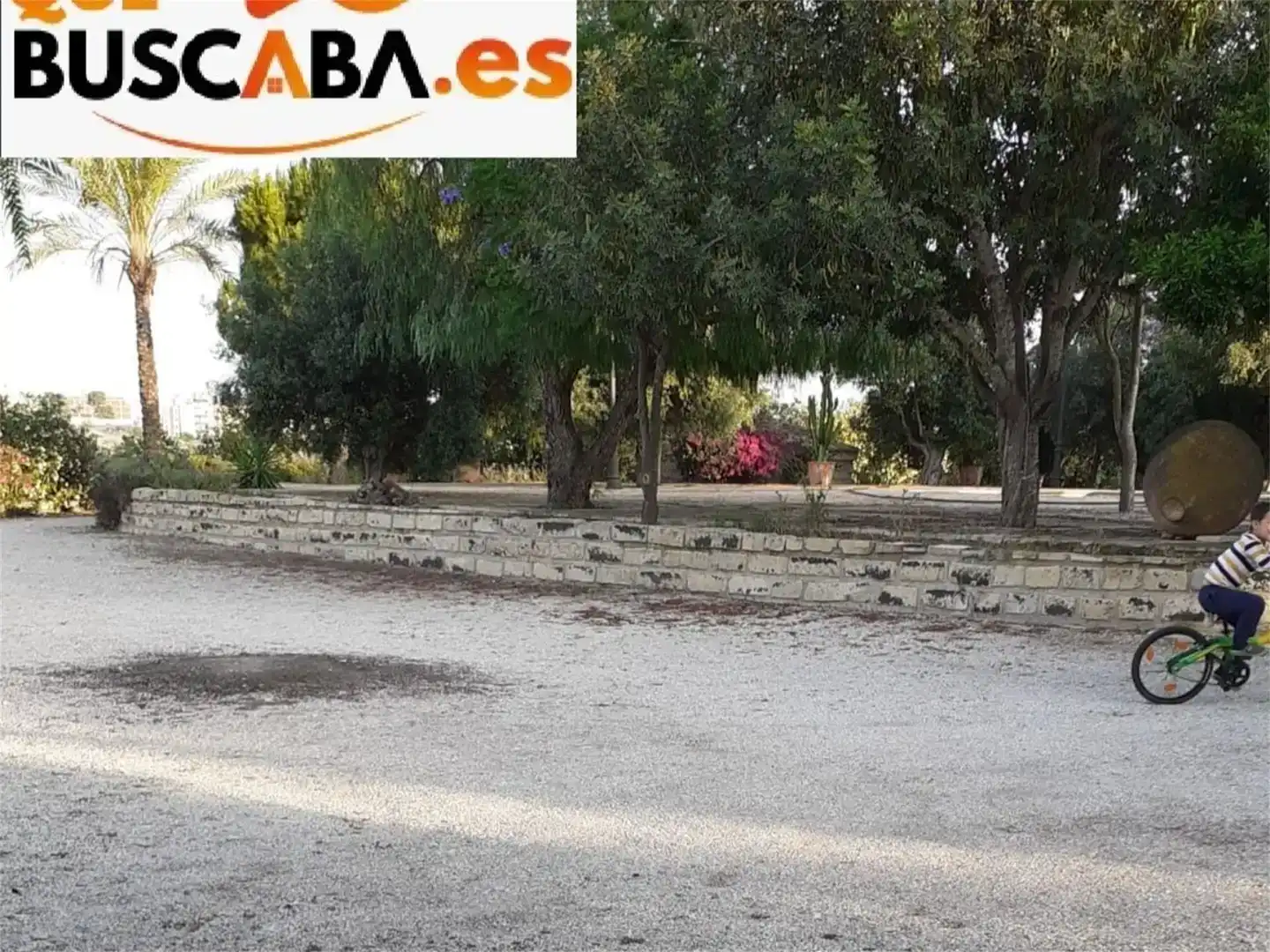 Finca rústica en venda en San Miguel de Salinas amb Aire condicionat i Piscina