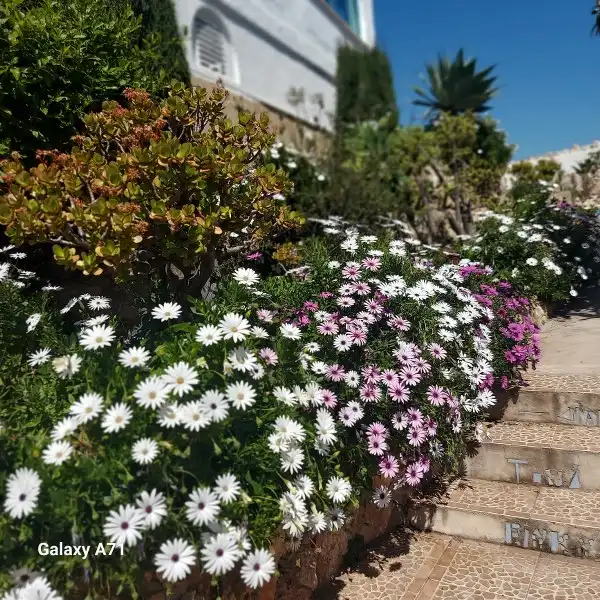 Xalet amb jardí en venda a Sant Antoni, imagen 4