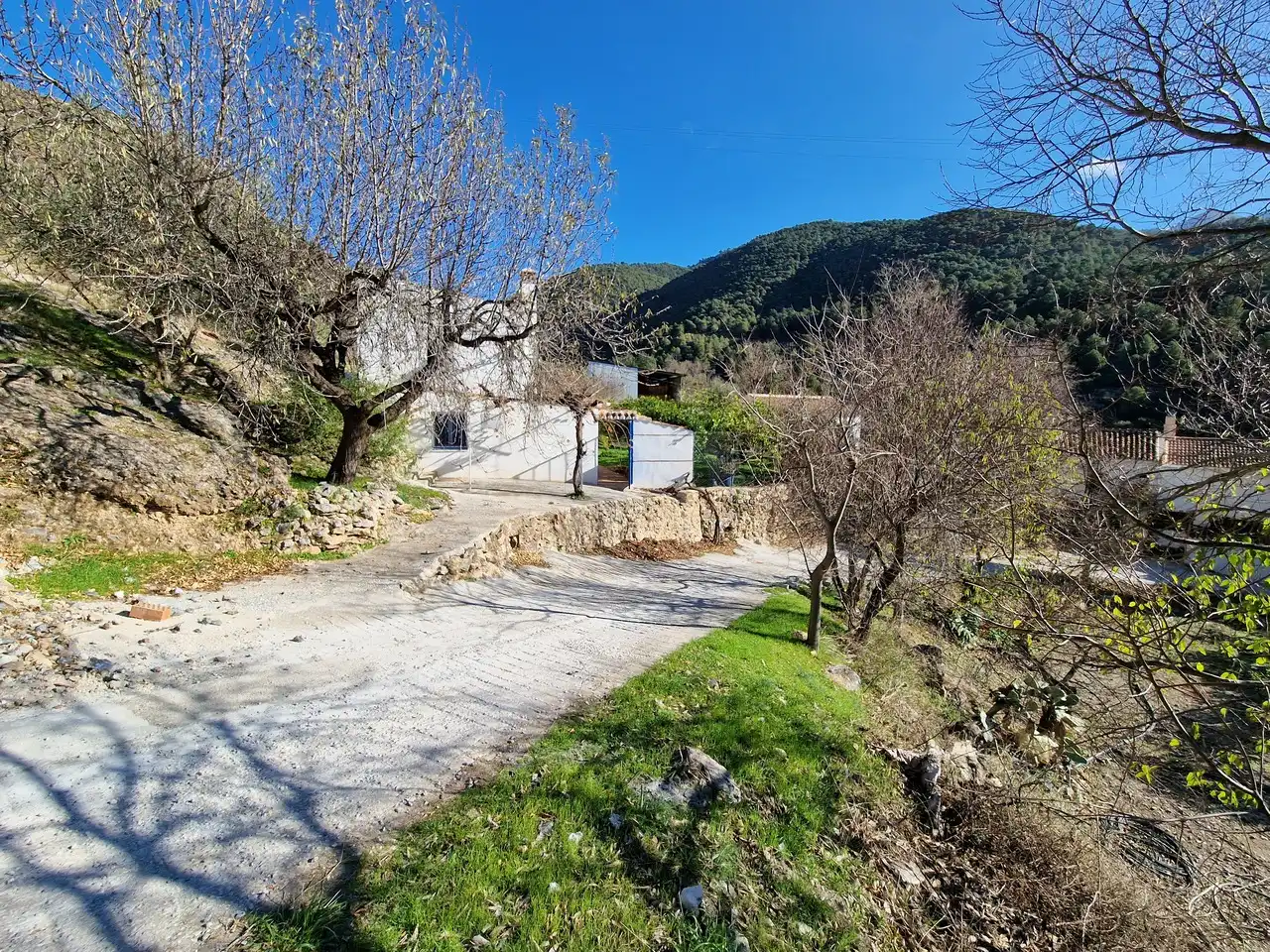 Vista exterior de Casa o chalet en venta en Alcaucín