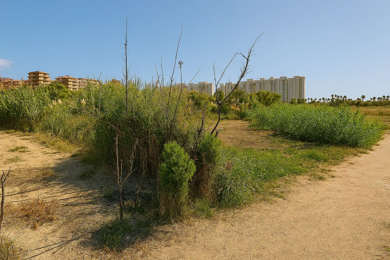 Lands and plots for sale in Pueblo de Cullera, imagen 3