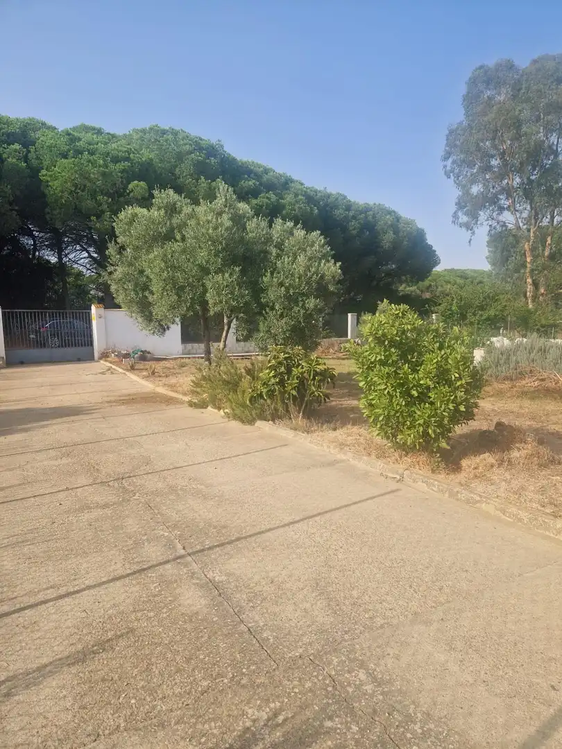Country homes for sale in Puerto Real  with Private garden and Swimming Pool