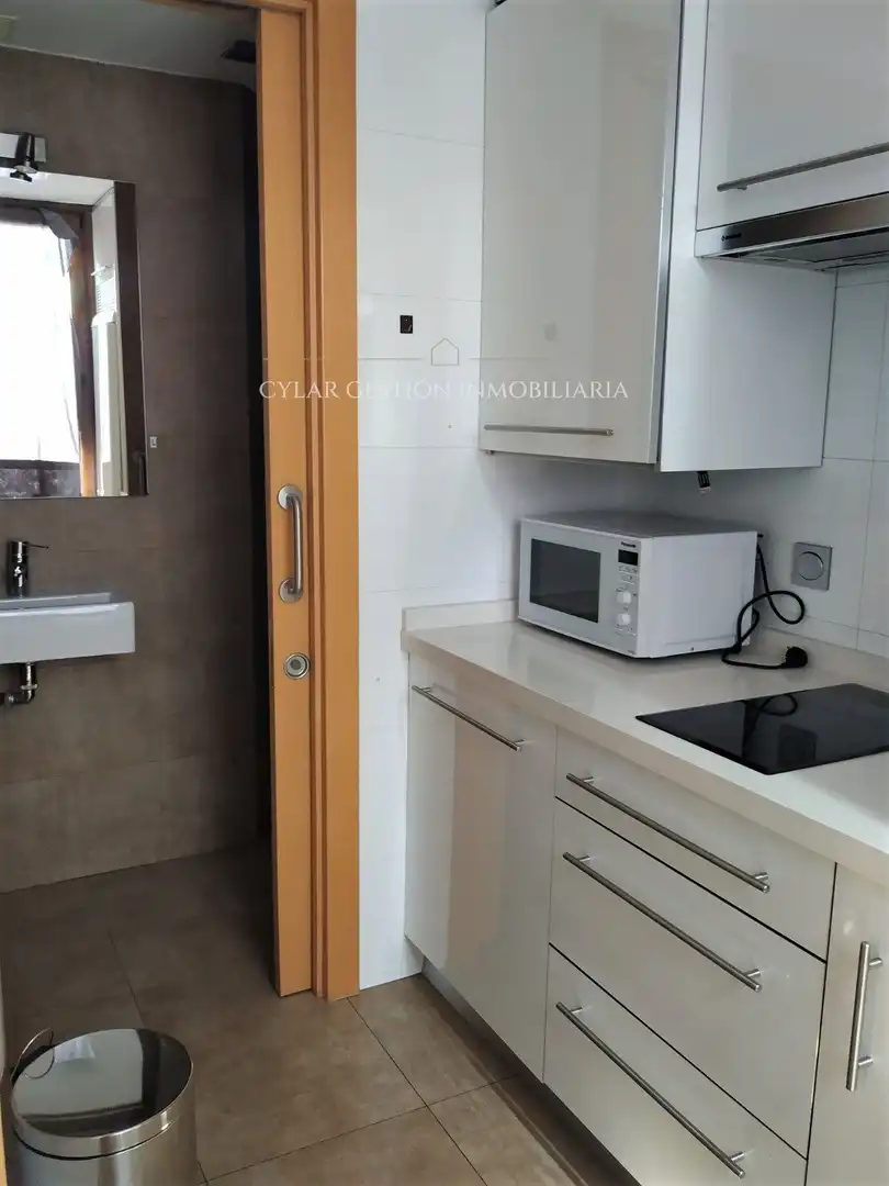 Duplex with lift to rent in Veracruz, imagen 11
