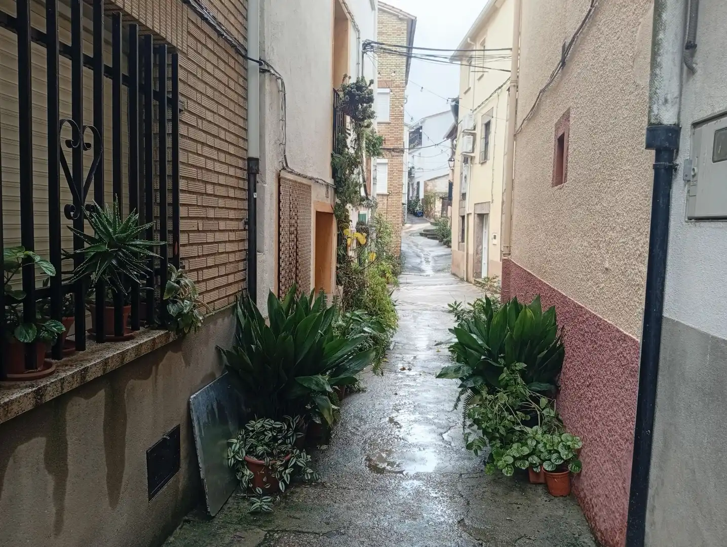 Vista exterior de Casa o xalet en venda en Talaveruela de la Vera
