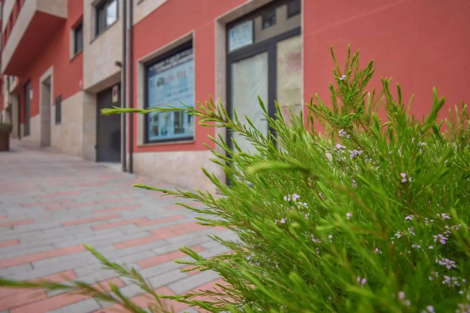 Business premises for sale in Carral, imagen 2