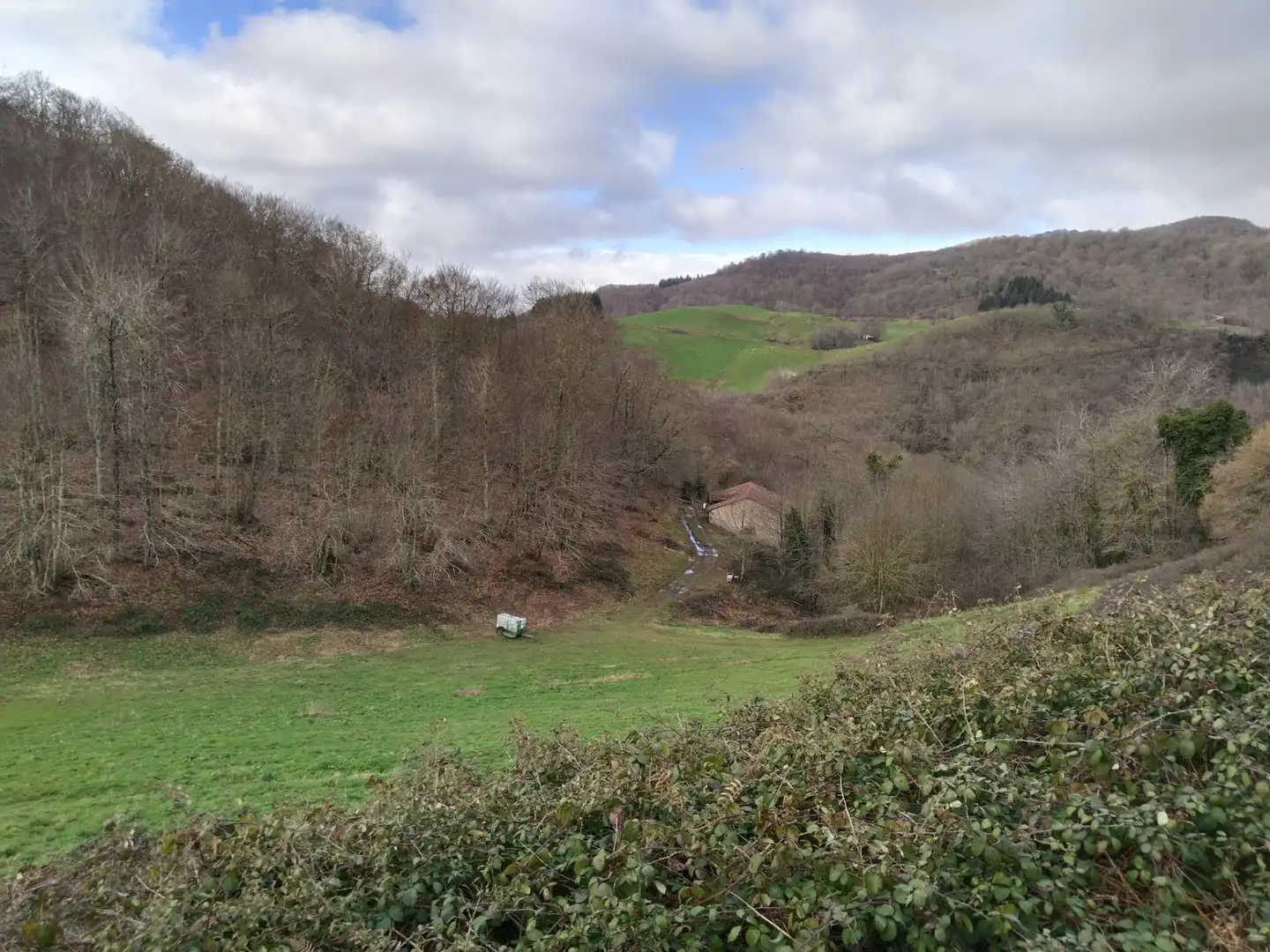 Land for sale in Basaburua