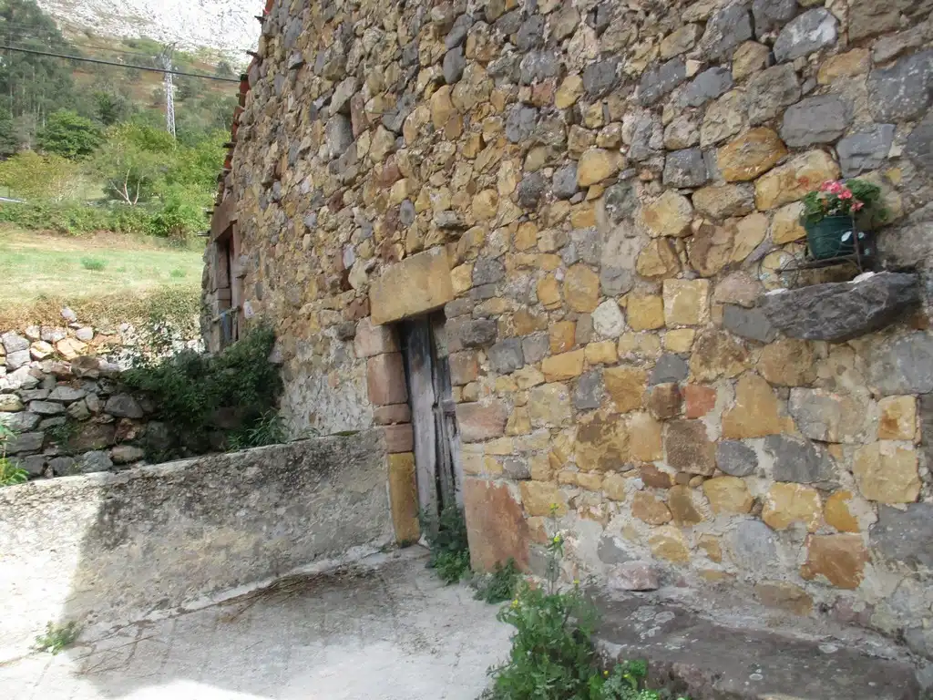 Exterior view of Buildings for sale in Lamasón