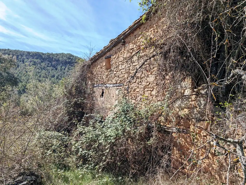 Terreni e lotti in vendita a Fuentespalda, imagen 4