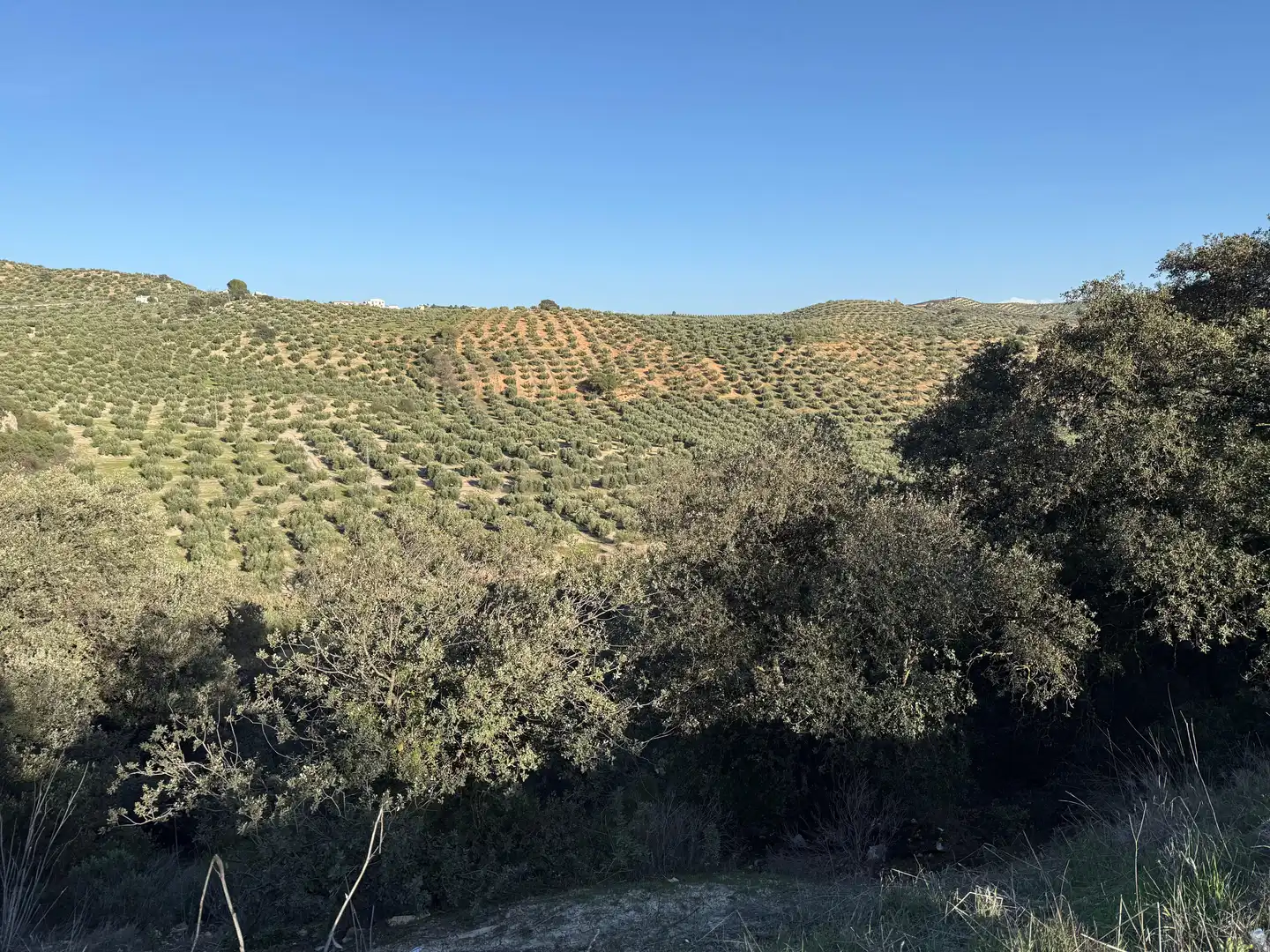 Rustikales Grundstück zum Verkauf in 8536+FQ Algarra sales, Spain, imagen 9