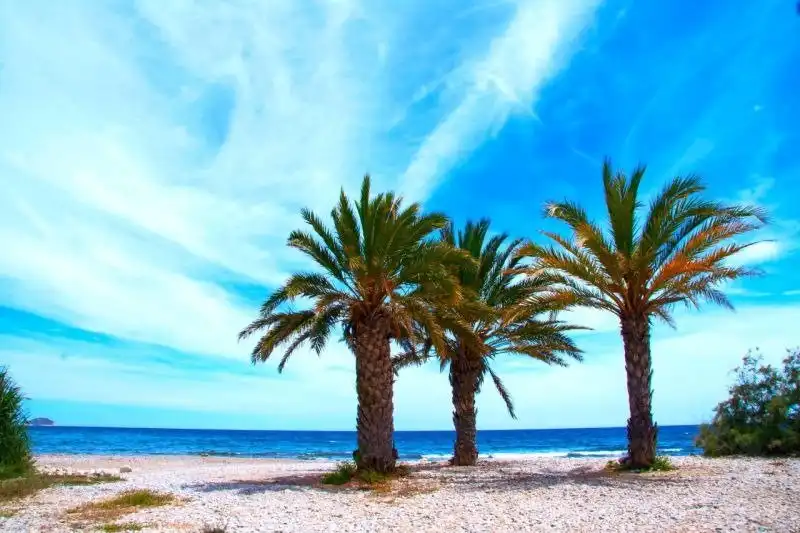 Apartament amb piscina en venda a Platja de Vila Joiosa, imagen 63