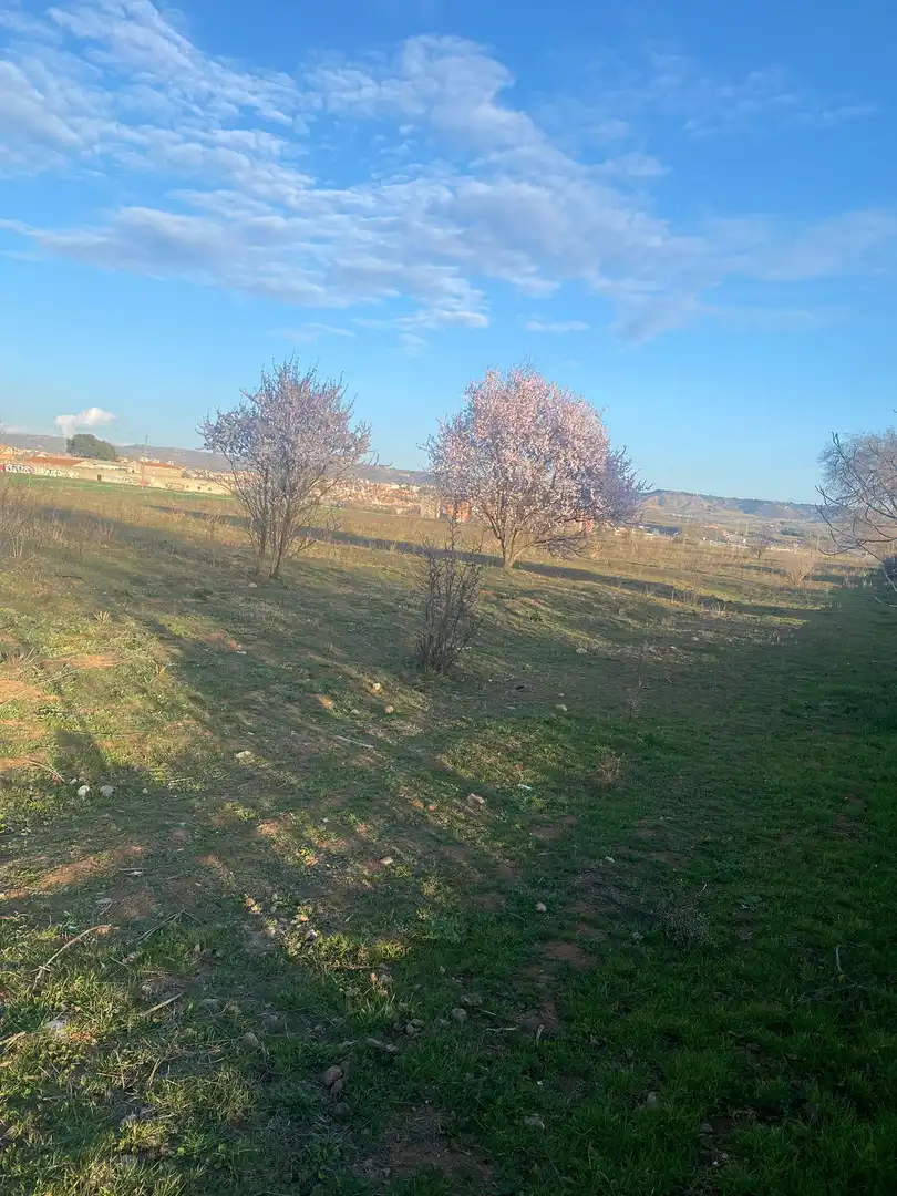 Grundstücke zur Miete in Cabanillas del Campo