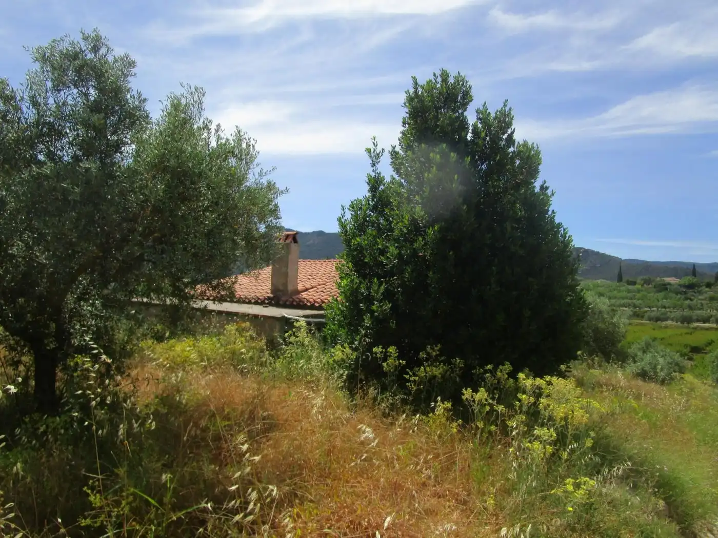 Maison rustique à vendre à Mogente / Moixent, imagen 8