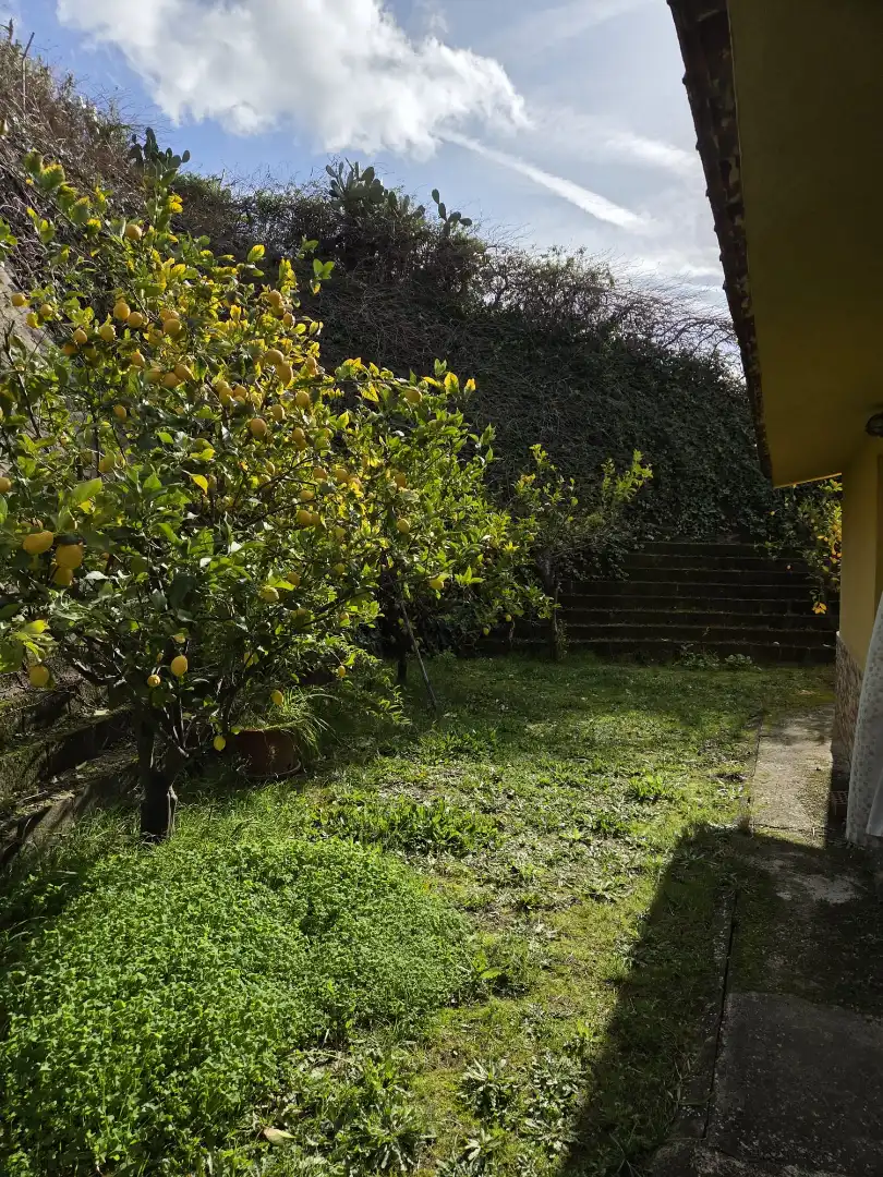 Garden of Houses for sale in Badajoz  with Private garden, Terrace and Storage room