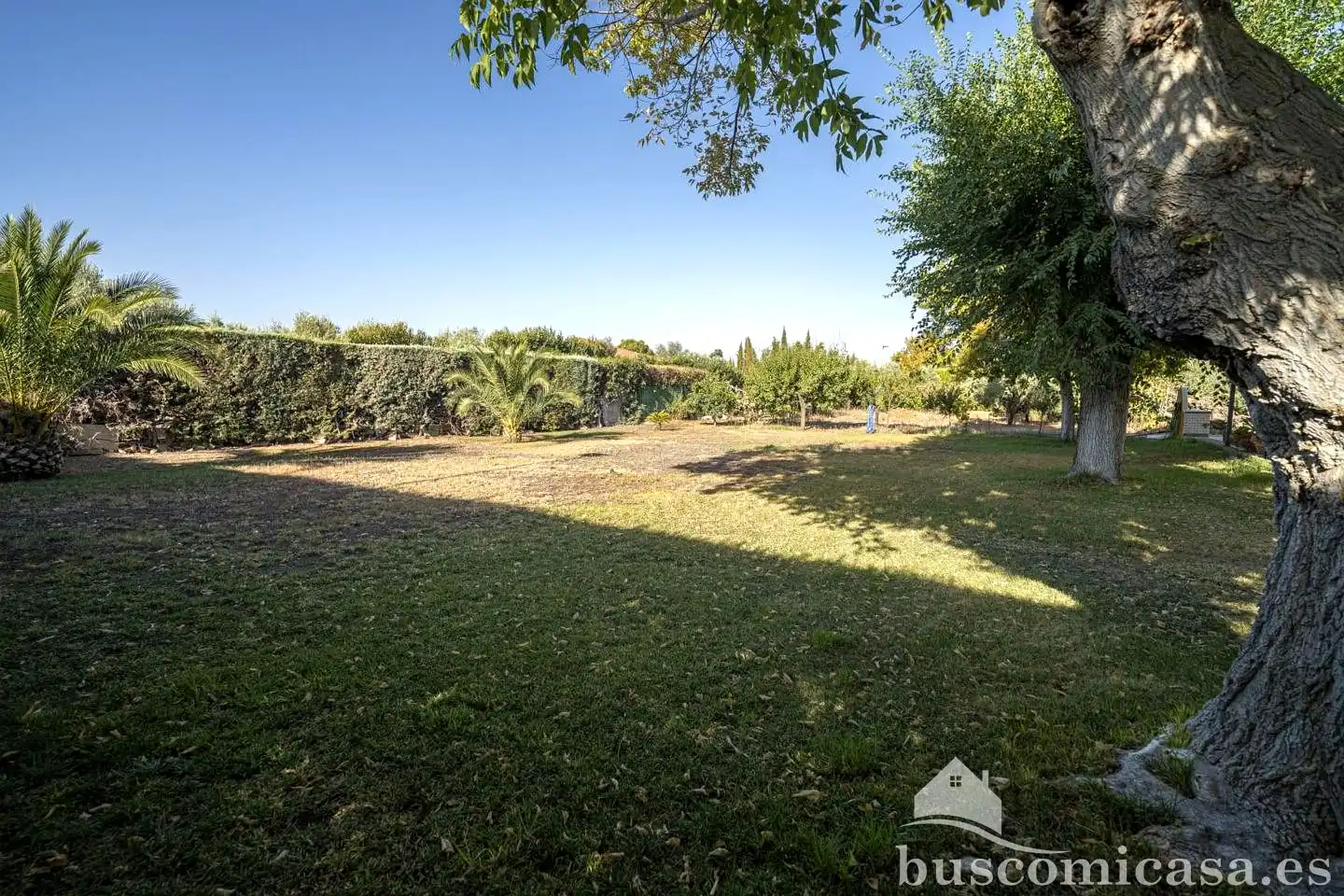 House with pool for sale in Diseminado Huertos San Roque, imagen 23