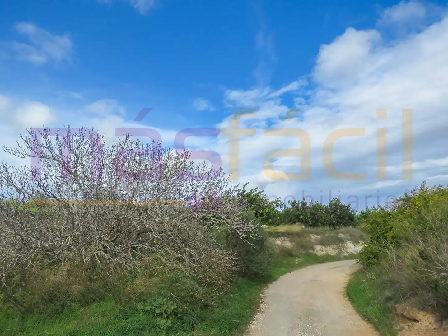 Finca rústica en venta en LOS MORENOS, Los Barreros - Cuatro Santos
