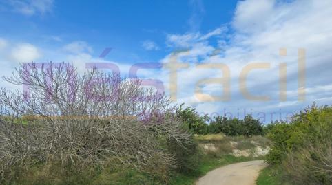 Foto 3 de Finca rústica en venta en Los Morenos, Los Barreros - Cuatro Santos, Murcia