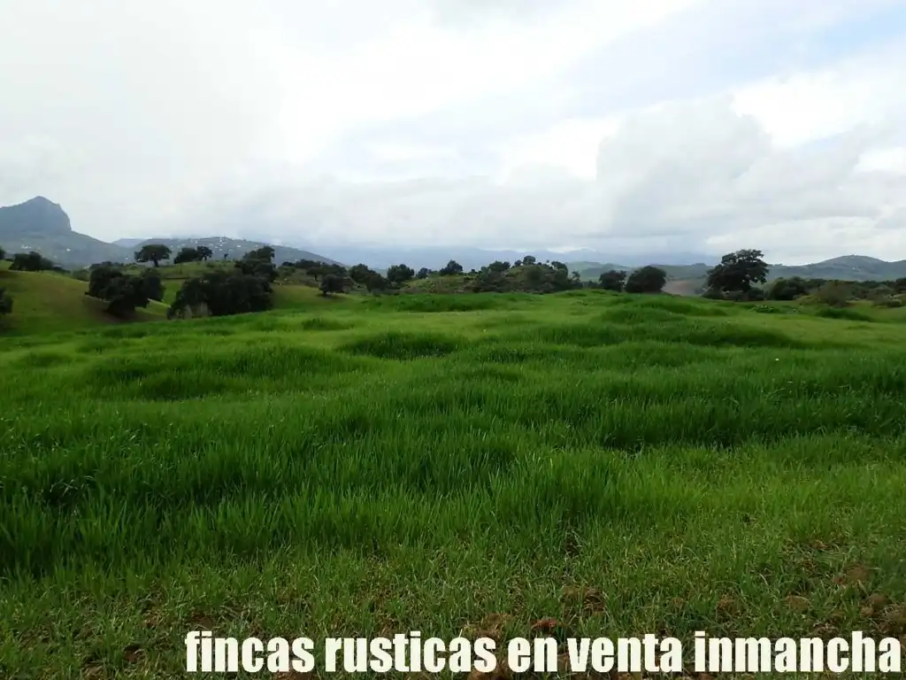 Terreno rustico in vendita a Algodonales, imagen 19
