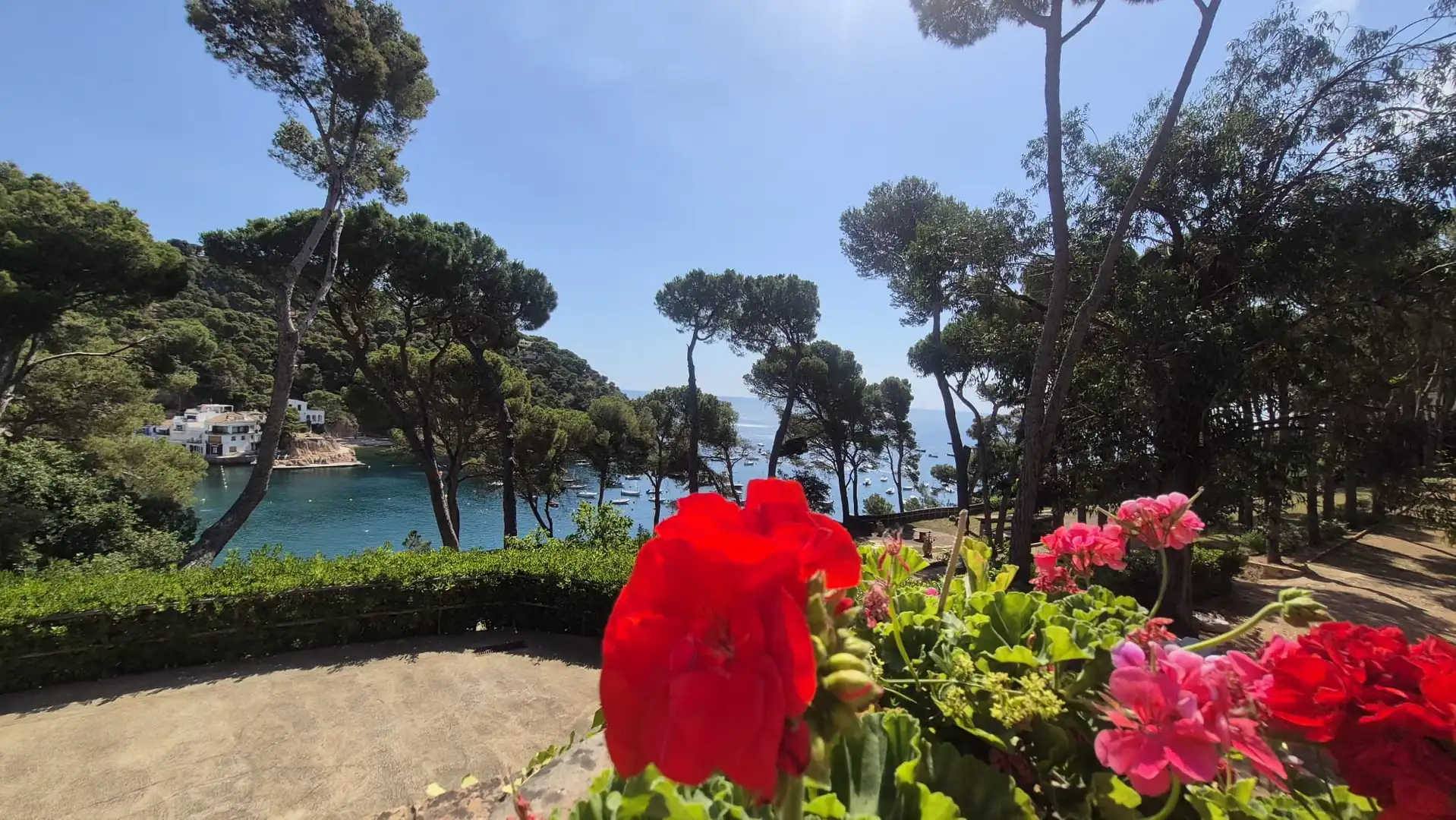 Jardí de Casa o xalet en venda en Palafrugell