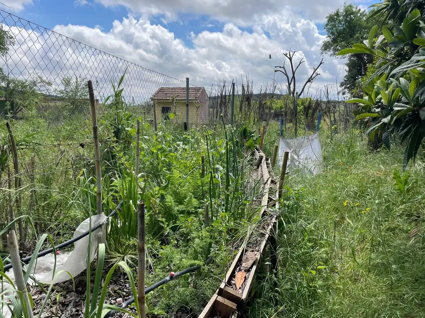 Finca rústica en venda en Carrión de Calatrava amb Calefacció, Terrassa i Traster