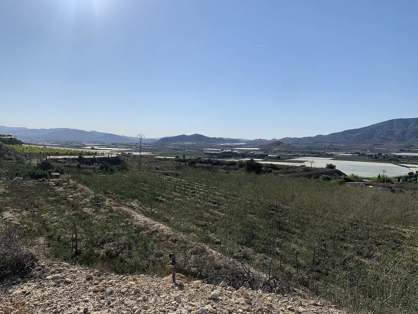 Terreno residencial en venta en Monforte del Cid, imagen 12
